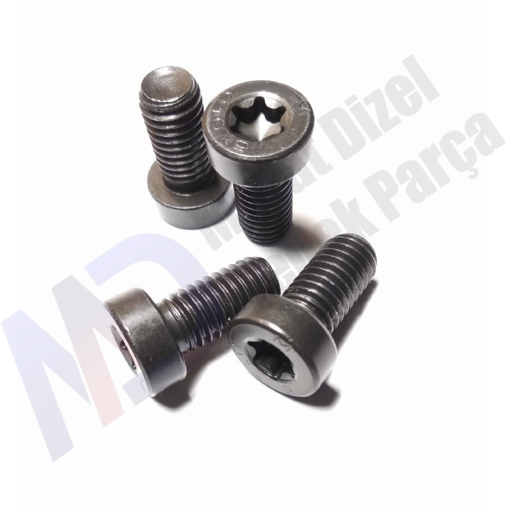 F01M100684 Silindir Vidası