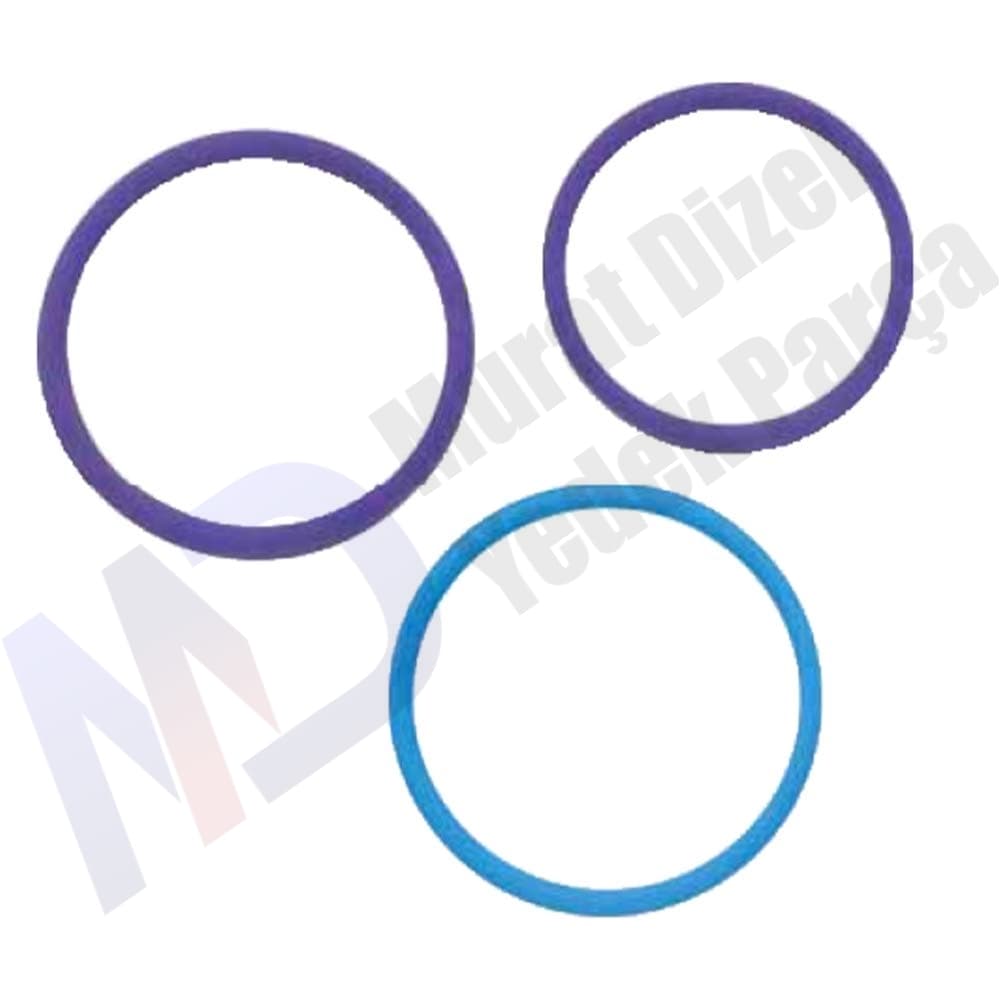 BOSCH — F00VX99998 — VOLVO FH12 EUI ORING TAMİR TAKIMI