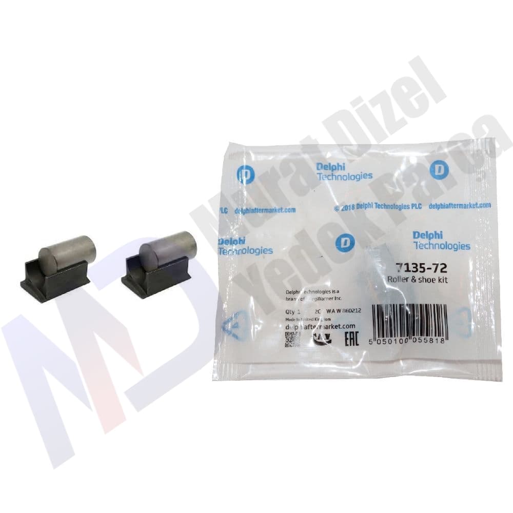 DELPHI — 7135-72 — BILYA PABUC